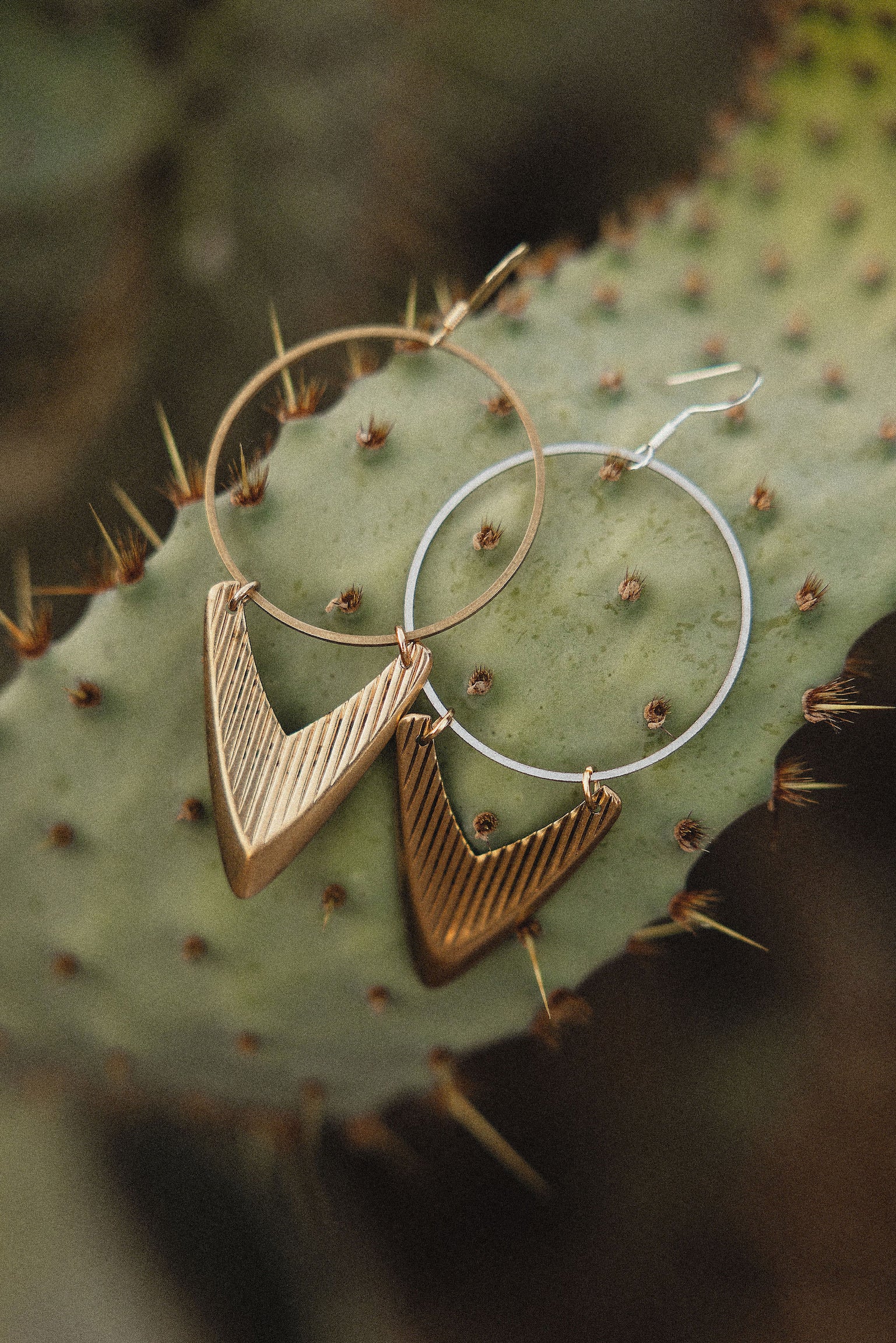 Desert Vibe Hoops