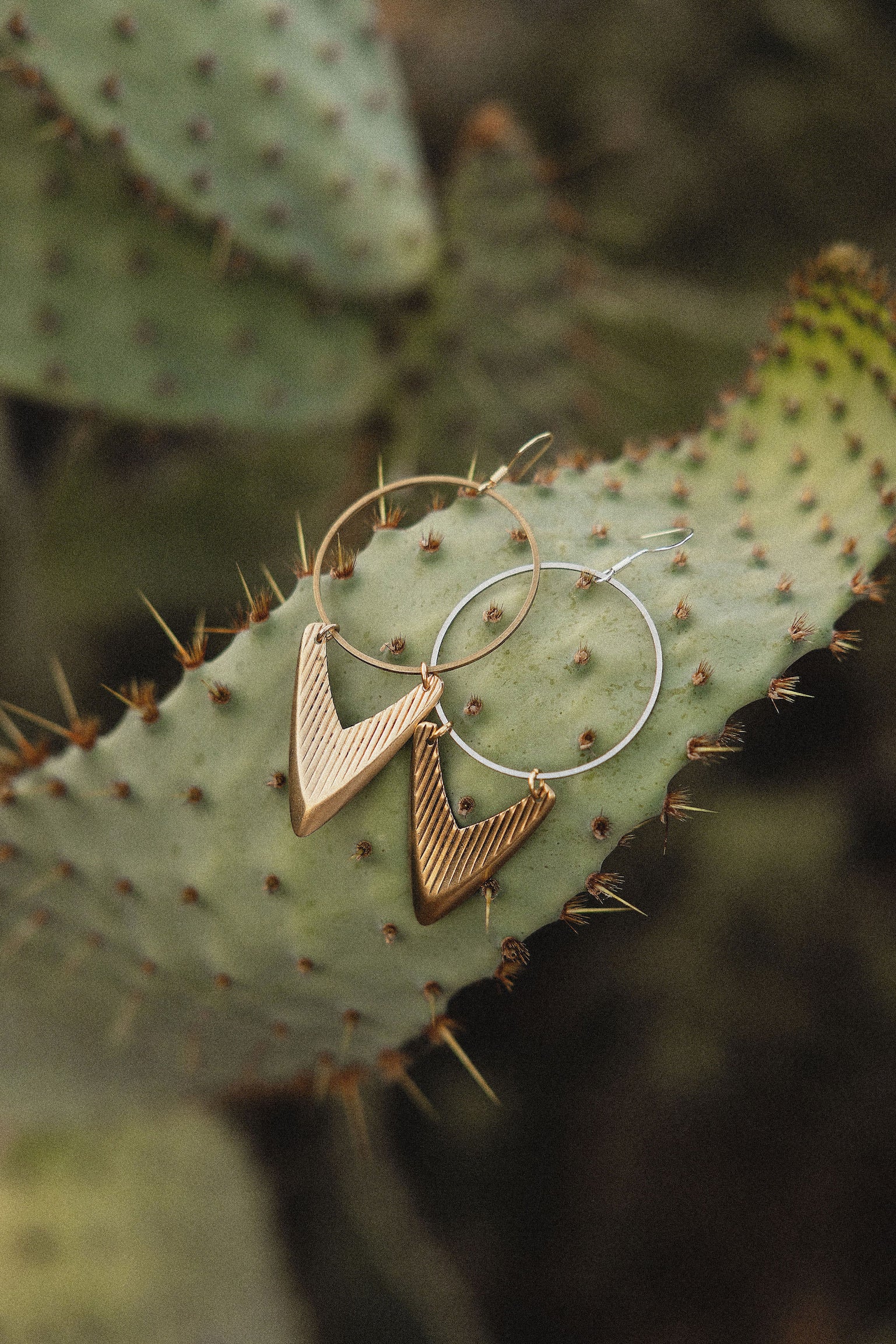 Desert Vibe Hoops