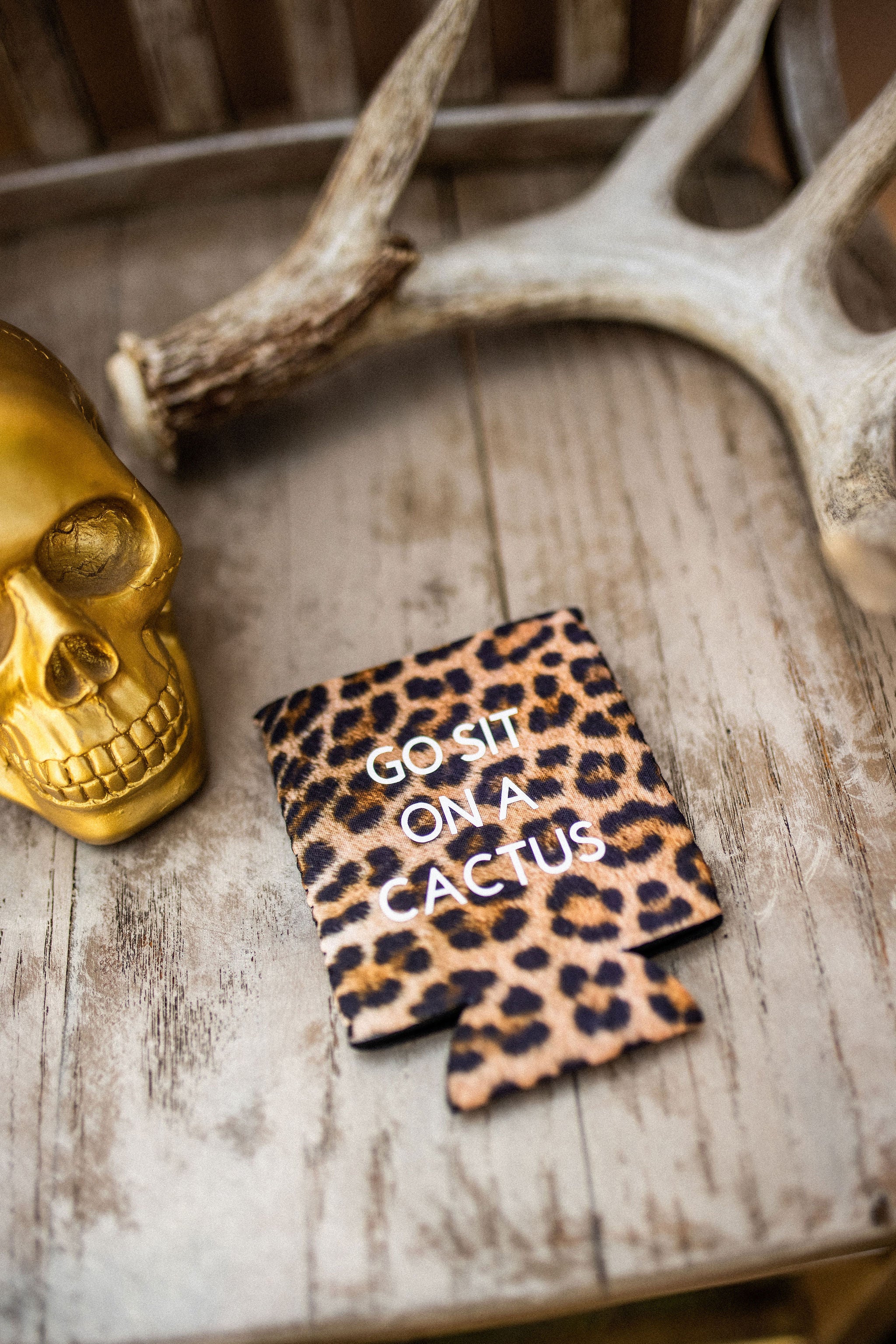 Go Sit On A Cactus- Can Holder