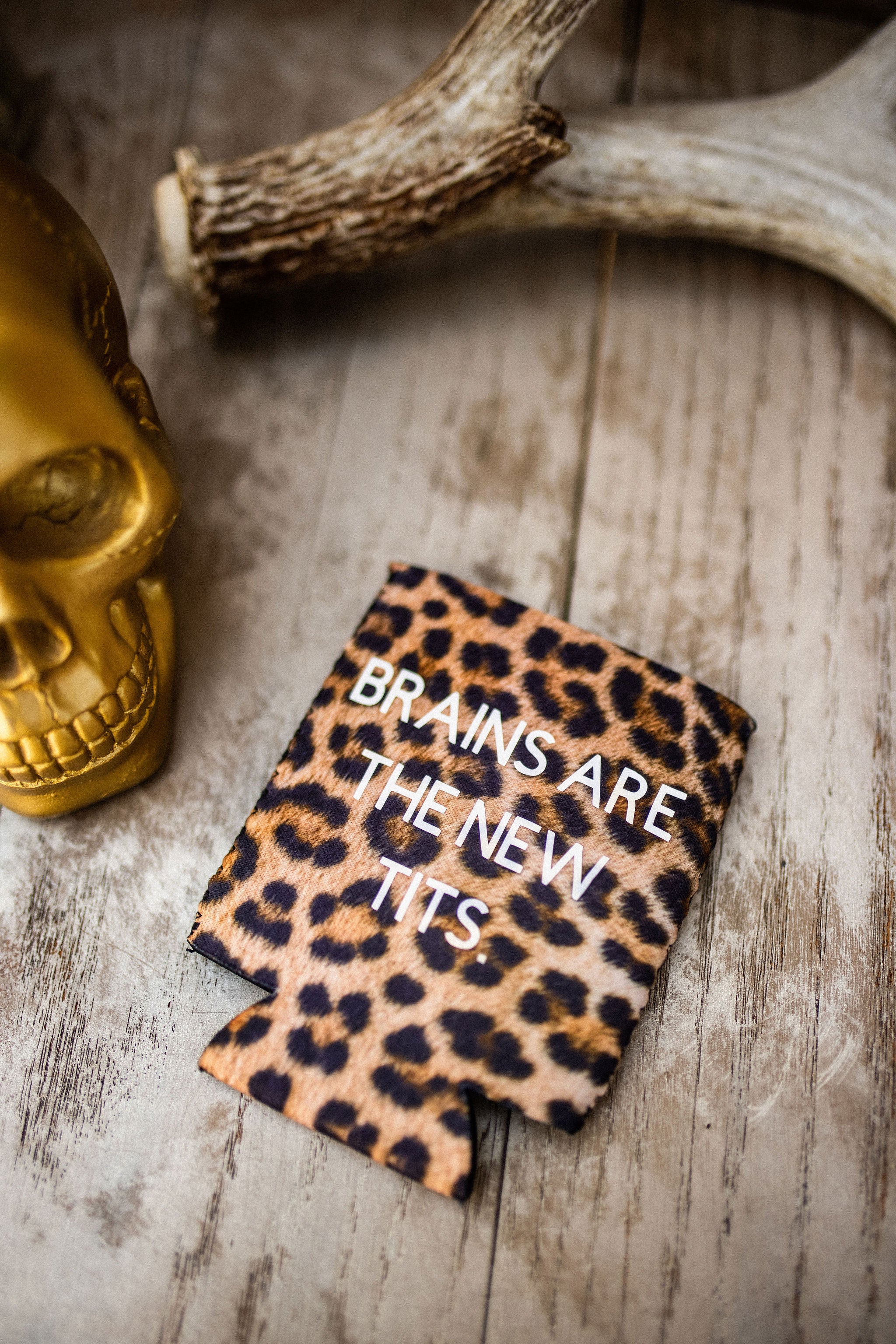 Brains Are The New... Can Holder