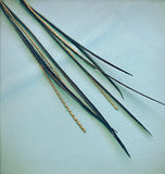 Freebird Feather Earrings