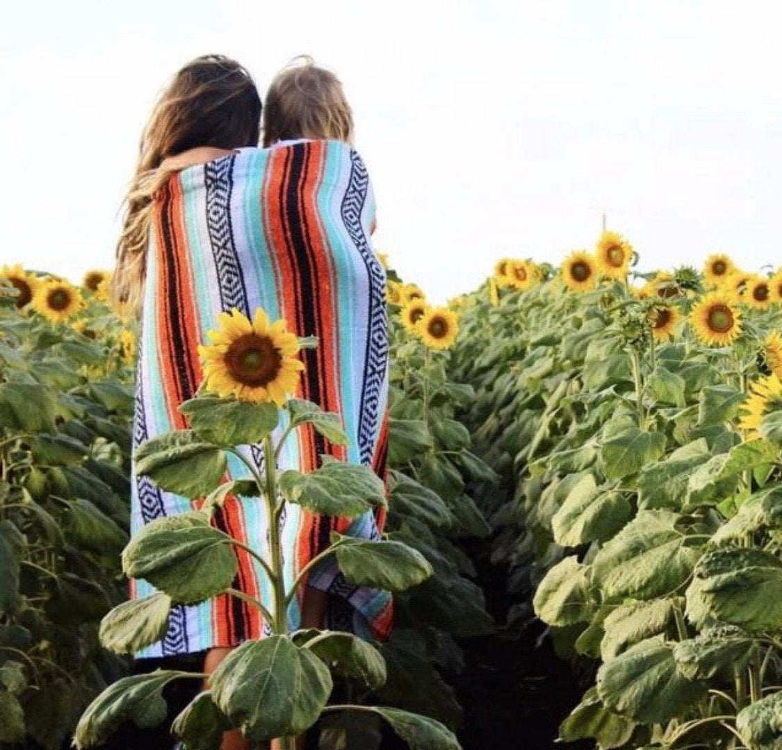 Festival Falsa Collection Blankets